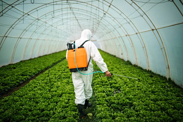 Best Pest Prevention Services  in Pantego, TX
