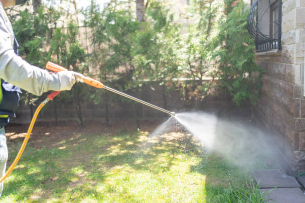 Best Wasp Removal Services  in Pantego, TX