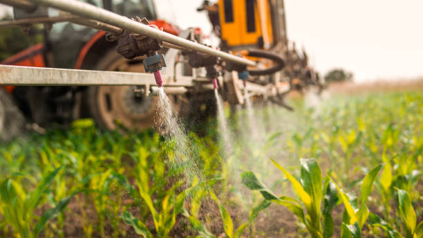 Reliable Pantego, TX Pest Control Solutions