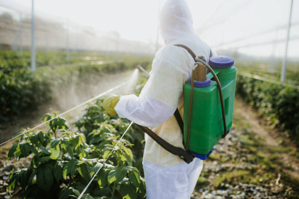 Best Pest Removal Services  in Pantego, TX